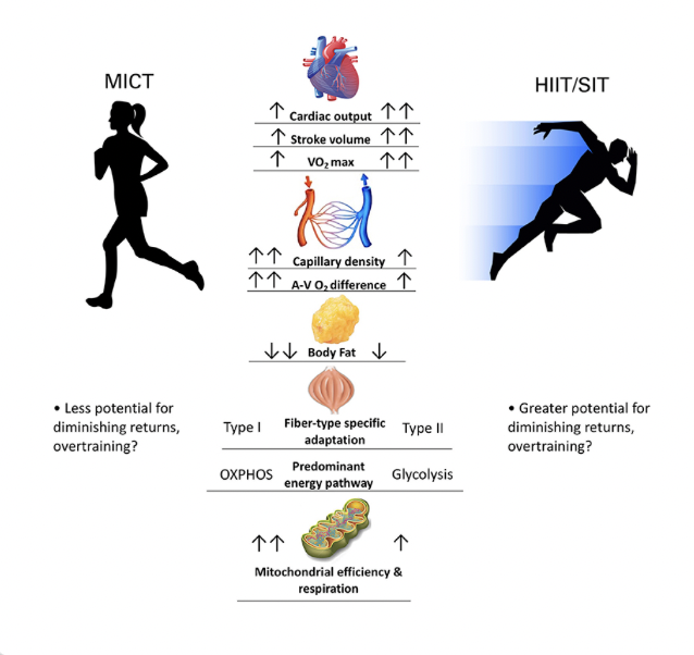 "If exercise is truly to be treated as a medicine, a rigorous acknowledgment of the dose is warranted". Some good points in this article: bit.ly/3oZNVg1