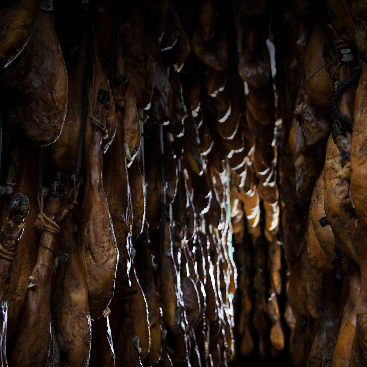 El Jamón de Bellota 100% Ibérico #AltaExpresion es una de las obras maestras culinarias más preciadas y como tal, debe elaborarse y cuidarse con delicadeza.

Descubre el proceso que le permite convertirse en el mejor jamón 100% ibérico 👉 bit.ly/3OWZDCO 

#IbericosCOVAP