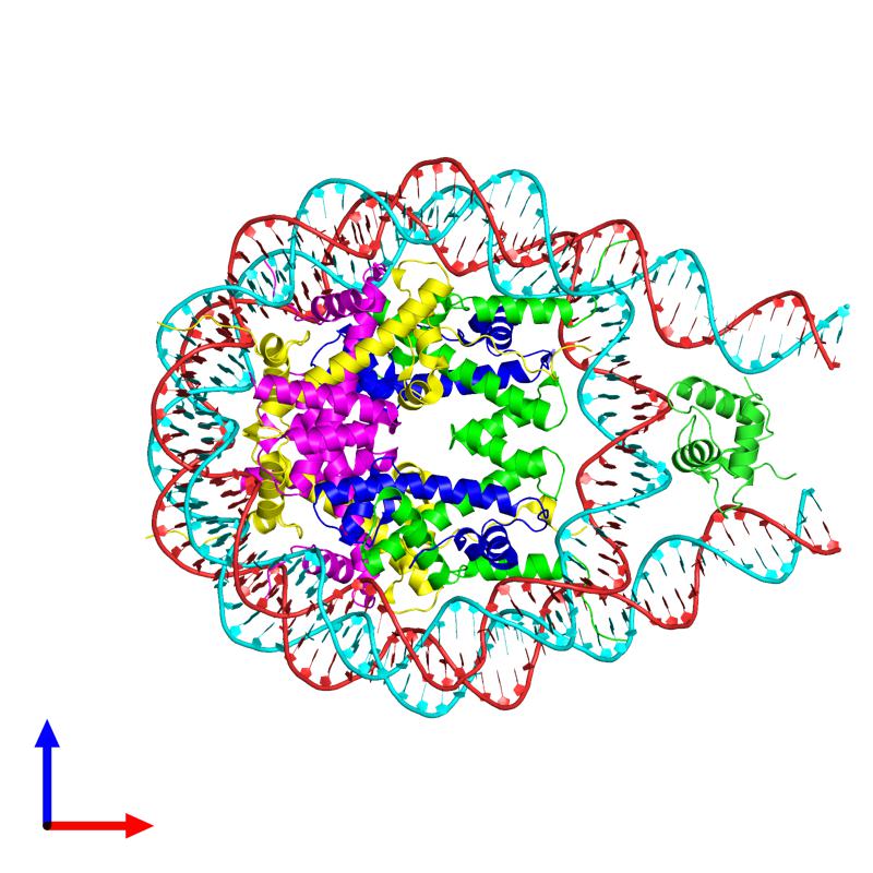 PDBimagebot's tweet photo. 'Nucleosome 2 of the 4x207 nucleosome array containing H1' published in Nat Struct Mol Biol. Find it at https://t.co/XR6yWNpeBG https://t.co/gcnRqeLYfE
