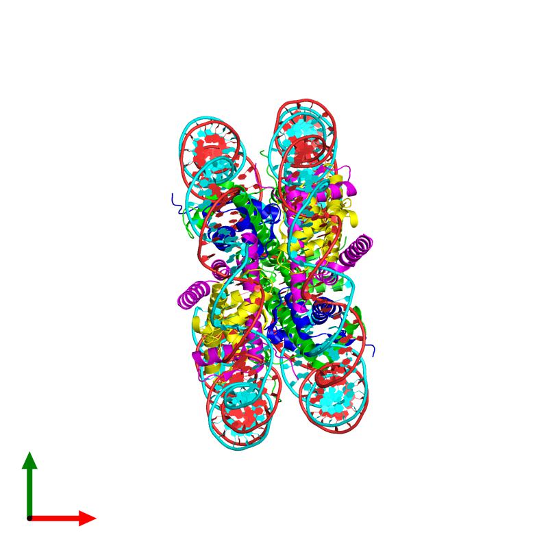 PDBimagebot's tweet photo. 'Nucleosome 2 of the 4x207 nucleosome array containing H1' published in Nat Struct Mol Biol. Find it at https://t.co/XR6yWNpeBG https://t.co/gcnRqeLYfE