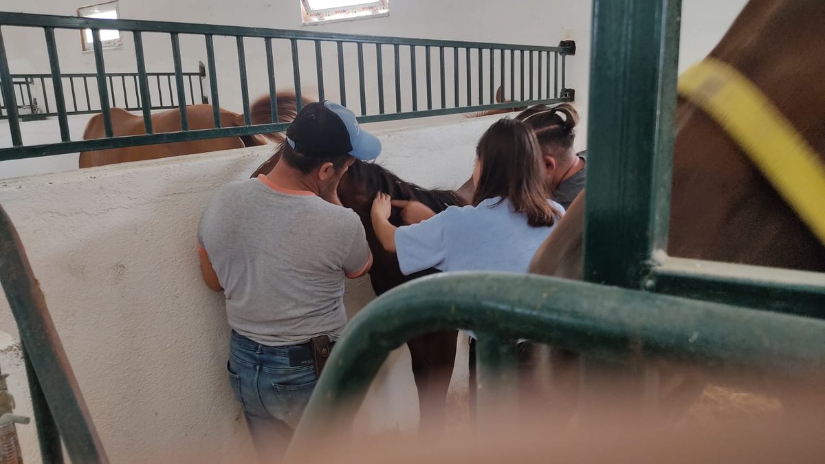 cagimniekurisi's tweet image. Bu gün günlerden haramızda #mikrochip uygulama Bursa il Tarım ve Orman müdürlüğü Veteriner ekibine teşekkür ederiz. Böylelikle kimliksiz tayımız kalmadı.