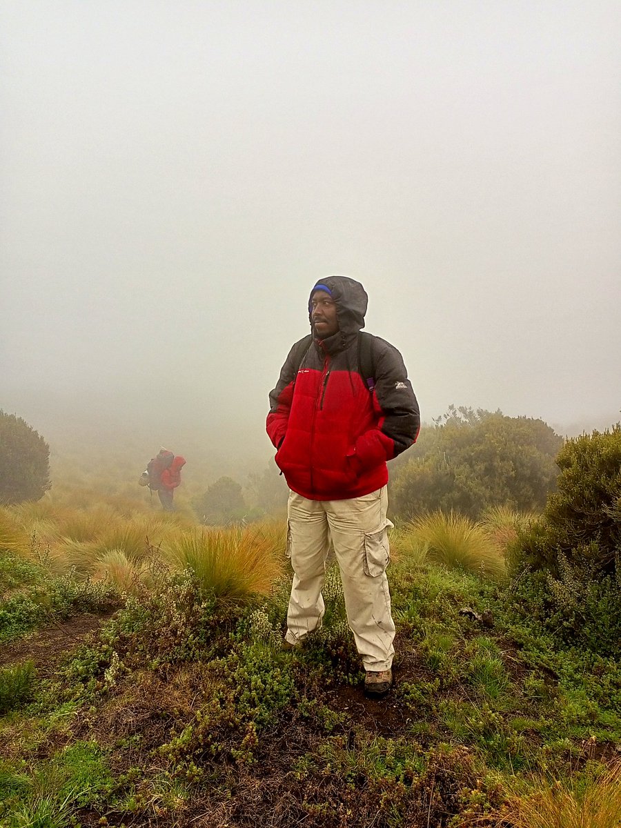 DustyRest's tweet photo. Conquer Mt. Kenya on a one day trek or a four days summit and get to traverse the Mountain's several natural features including lakes where hikers can fish just for fun and enjoy different vegetation along the way. Book with us now,
+254745682591
info@dustyrestsafarii.co.ke https://t.co/PJ2SeArr9Z