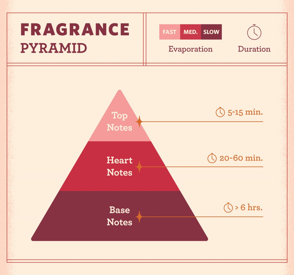 kanelleHQ's tweet photo. Before beginning the journey of perfume layering, one needs to know how scents are structured.
Top note - what you smell on first spritzing
Middle notes - characterizes the heart of the fragrance
Base notes - lingers on the skin after you've sprayed
#FragranceNotes #Fragrances https://t.co/KaFdj2tByn