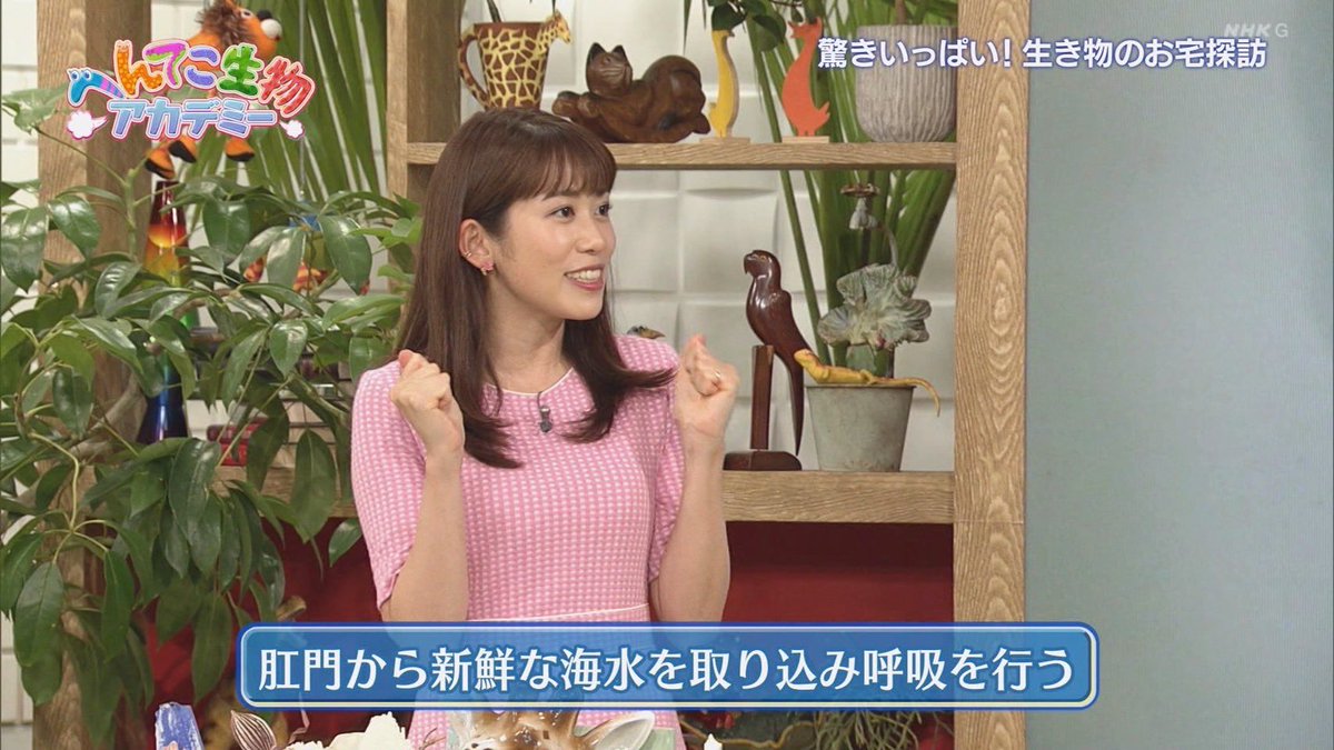 サントスピンク ♪ NHKへんてこ生物アカデミーでも話題!偕老洞穴 かい