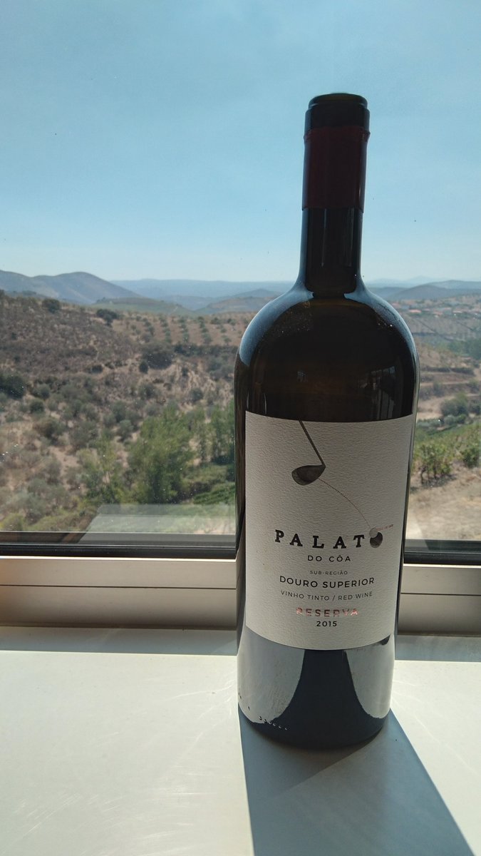 Stargate_CBQF's tweet photo. STARGATE project started work with Palato do Côa. A team from @CBQF_Catolica  will visit Palato's field on Foz Côa to take vineyard plant samples and analyse their quality traits until the grape harvest to implement the data integration and information system technology.
🍇🌿🙌 https://t.co/yNy88nBKtt