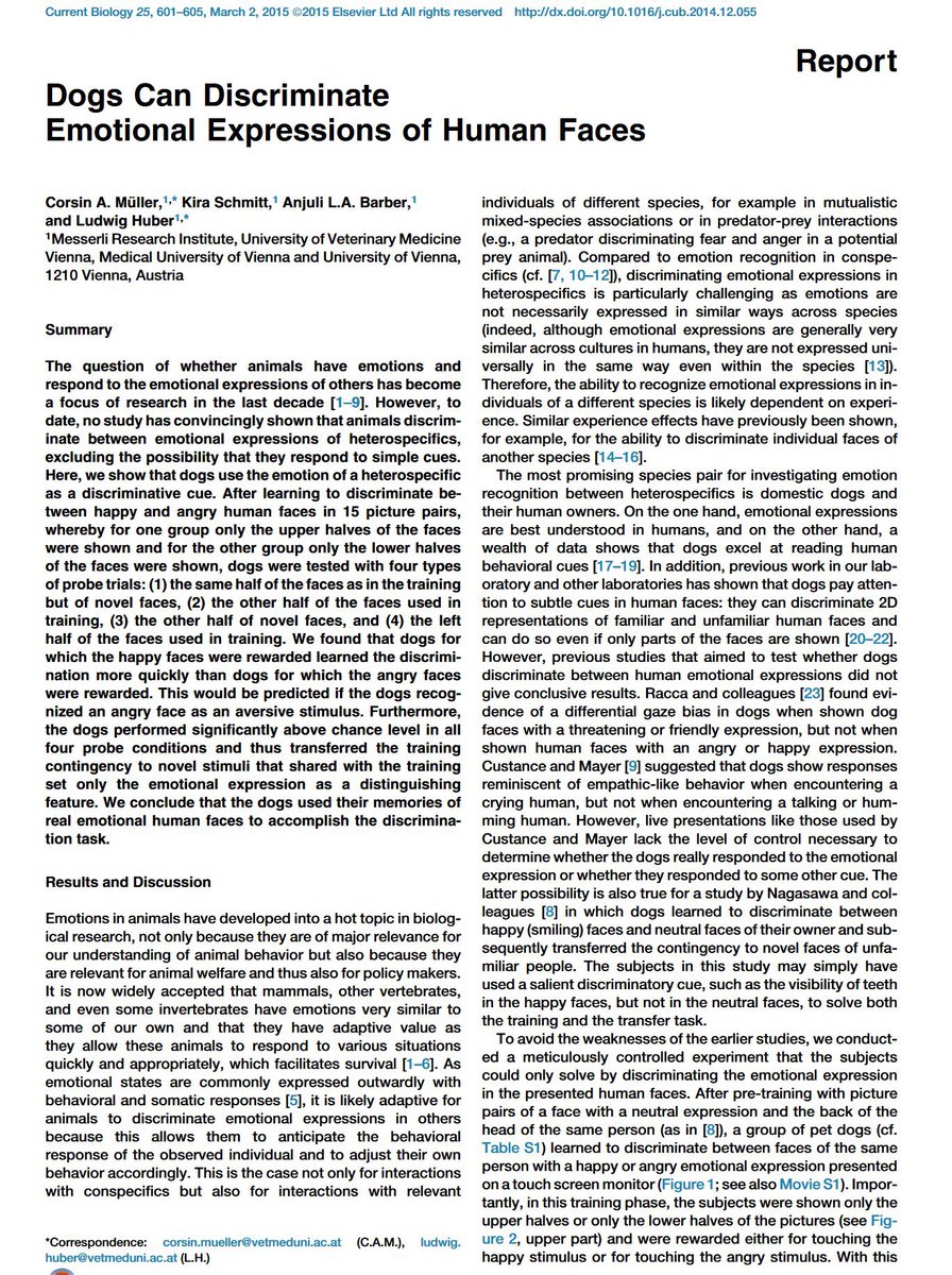 emollick's tweet image. No pressure, but dogs, horses, &amp;amp; goats have all been proven to be able to read your facial expressions. And they prefer it when you look happy 🐶🐐🐴

Cats also can read your expressions, but it isn't that clear that they care whether you are happy (they don’t like you angry) 🐱