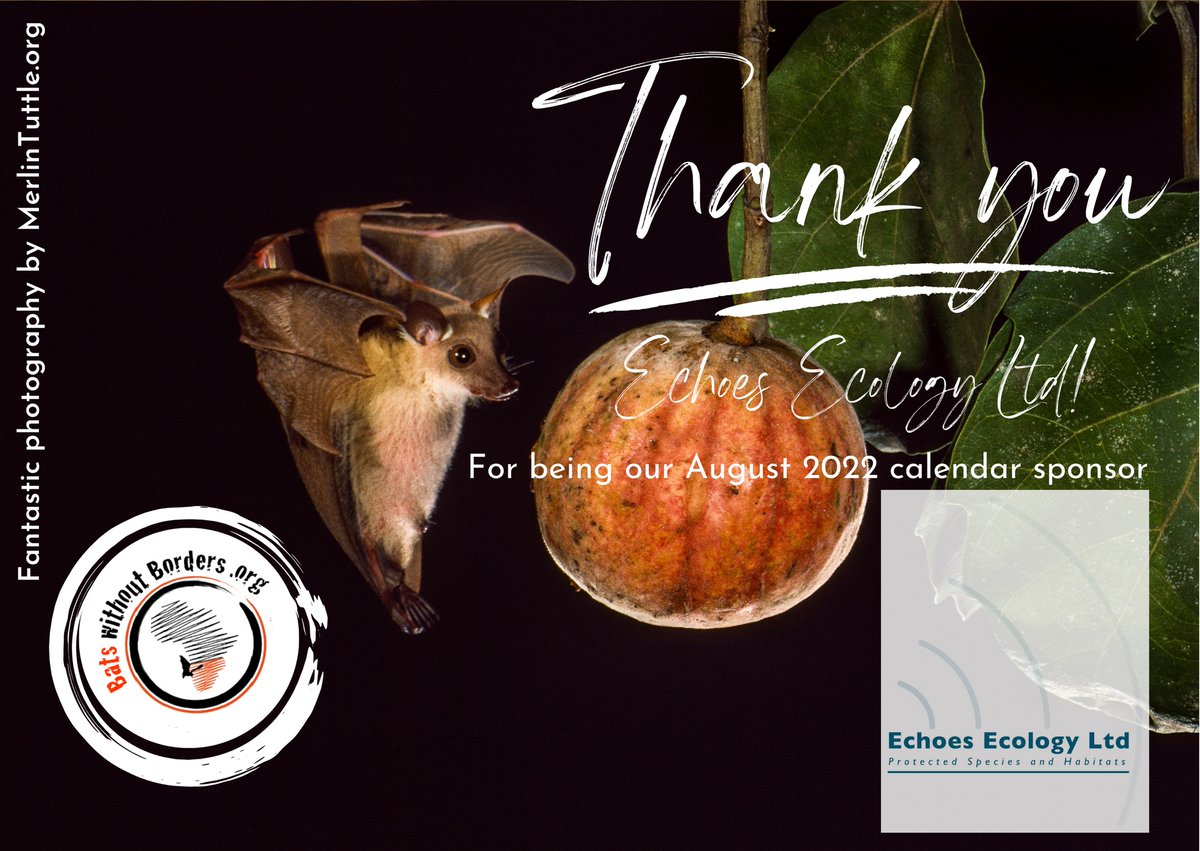 bats_w_borders's tweet photo. Today is #ThankYouThursday! π¦
We'd like to say a massive thank you to Echoes Ecology Ltd for sponsoring our 2022 calendar!
More info: https://t.co/rowU1TS9wY
#bats #bat #Africa #southernAfrica #southernAfricanBats #AfricanBats #BatConservation https://t.co/fQ0sDEclqO