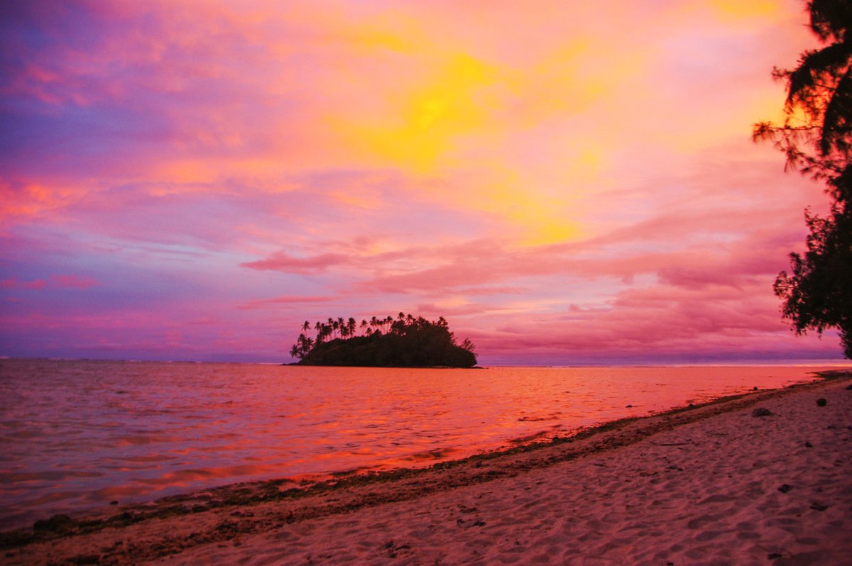 IntlStudentsHub's tweet photo. Happy Constitution Day to the Cook Islands! 🇨🇰
Find out more about studying in the Cook Islands on our site: https://t.co/1MHQjXMOnB
#CookIslands #CookIslander #Pacific #Polynesia #SouthPacific #Travel https://t.co/UOVPipfZhw