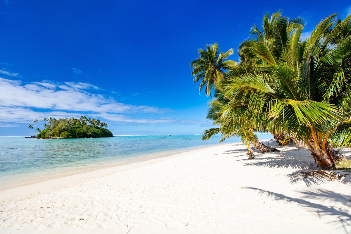 IntlStudentsHub's tweet photo. Happy Constitution Day to the Cook Islands! 🇨🇰
Find out more about studying in the Cook Islands on our site: https://t.co/1MHQjXMOnB
#CookIslands #CookIslander #Pacific #Polynesia #SouthPacific #Travel https://t.co/UOVPipfZhw