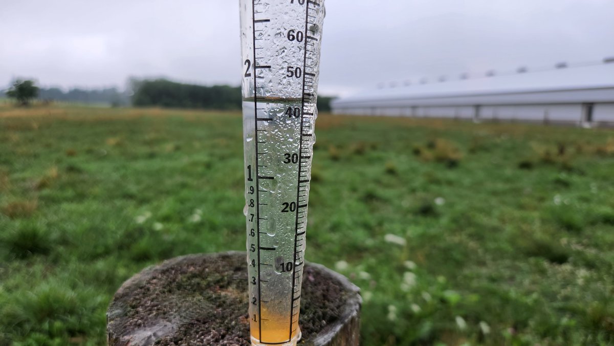 Rick Kaptein 🐂🇨🇦🥓🐓 tweet media