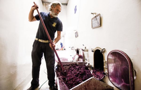 Identità Golose tweet media