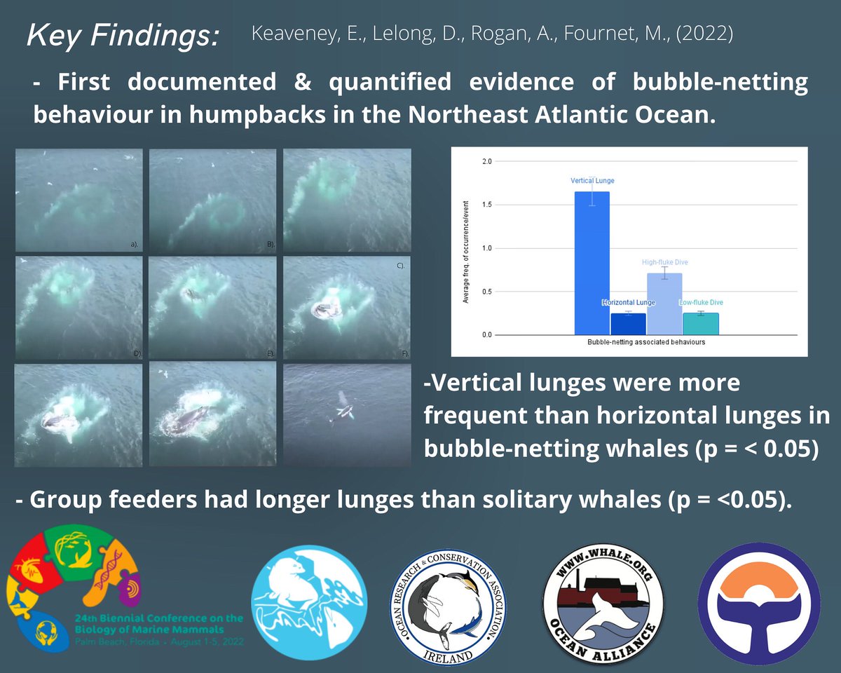 Ocean Research & Conservation Association (@orca_ireland) on Twitter photo Let’s chat humpback whales, drones and all things #Tech4Good
Office hours (10:30am - 3:30pm) EST
Thursday, August 04
<a href="/ORCA_Ireland/">Ocean Research & Conservation Association</a> <a href="/Ocean_Alliance/">Ocean Alliance</a> <a href="/SoundScienceAK/">Sound Science Collective</a> <a href="/ORCA_NI/">ORCA_N.I.</a> <a href="/ObserversApp/">Observers App</a> <a href="/SmartWhaleSound/">Smart Whale Sounds</a> <a href="/flukefollow/">FlukeFollow Project</a> Let’s chat humpback whales, drones and all things #Tech4Good
Office hours (10:30am - 3:30pm) EST
Thursday, August 04
<a href="/ORCA_Ireland/">Ocean Research & Conservation Association</a> <a href="/Ocean_Alliance/">Ocean Alliance</a> <a href="/SoundScienceAK/">Sound Science Collective</a> <a href="/ORCA_NI/">ORCA_N.I.</a> <a href="/ObserversApp/">Observers App</a> <a href="/SmartWhaleSound/">Smart Whale Sounds</a> <a href="/flukefollow/">FlukeFollow Project</a>