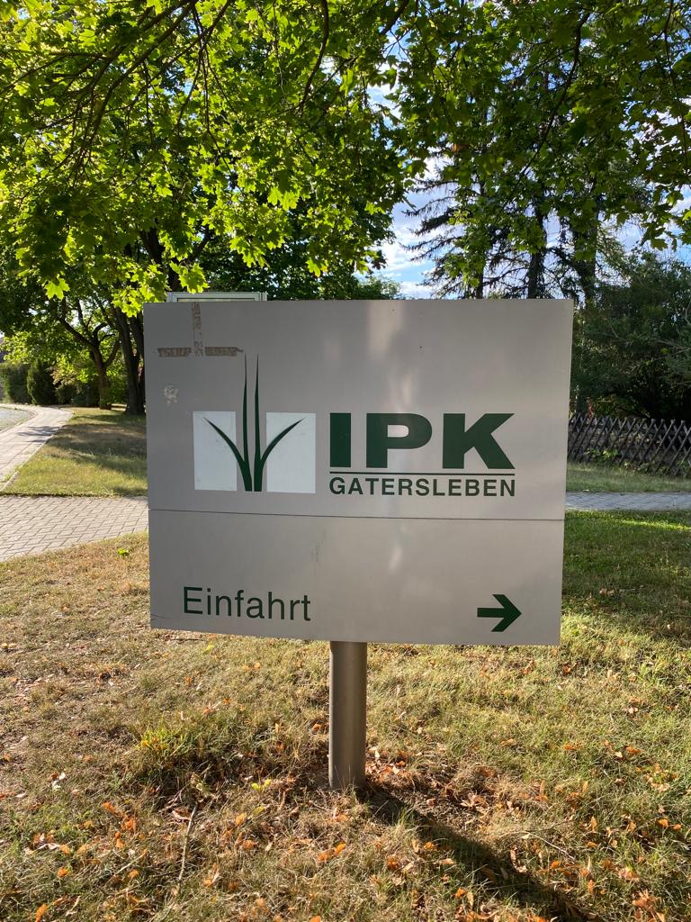Stargate_CBQF's tweet photo. To Strengthen the scientific excellence at @CBQF_Catolica, Ana Patricia Fernandes is training in the field of the first STARGATE STSM titled 'Practical phenotyping in controlled environments, including image analysis' on IPK Gatersleben. Wishing you all the best in your work!!! https://t.co/BsaqfKh4Sz