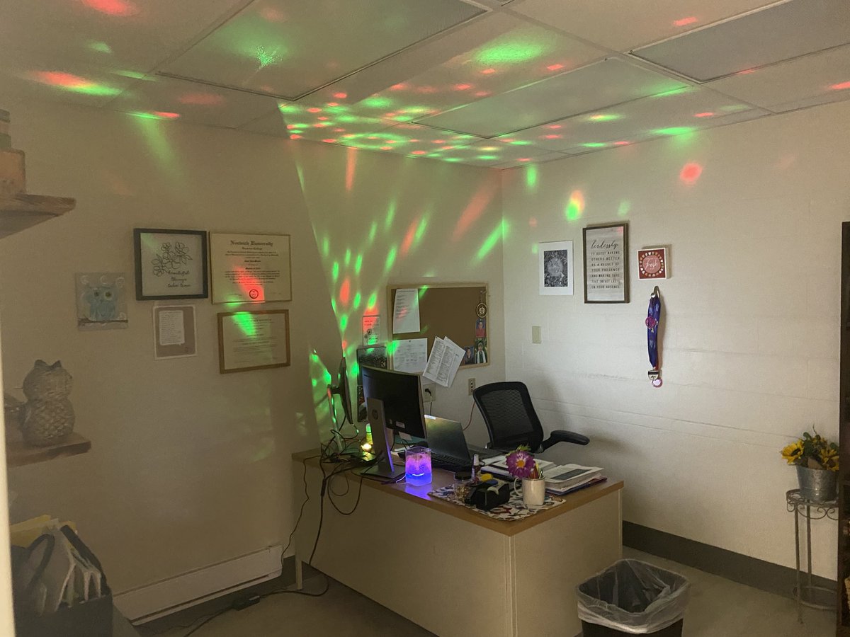 Lisa Meade tweet media