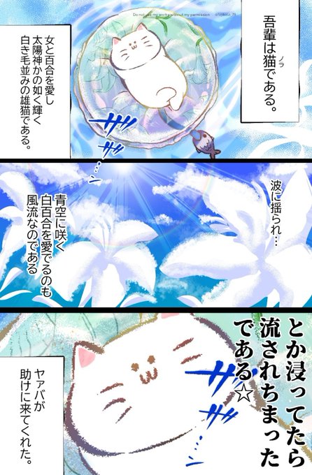 悪役令嬢×正ヒロインの百合を愛する猫が暑中見舞い申し上げます。 #悪役令嬢が正ヒロインを口説き落とす話 