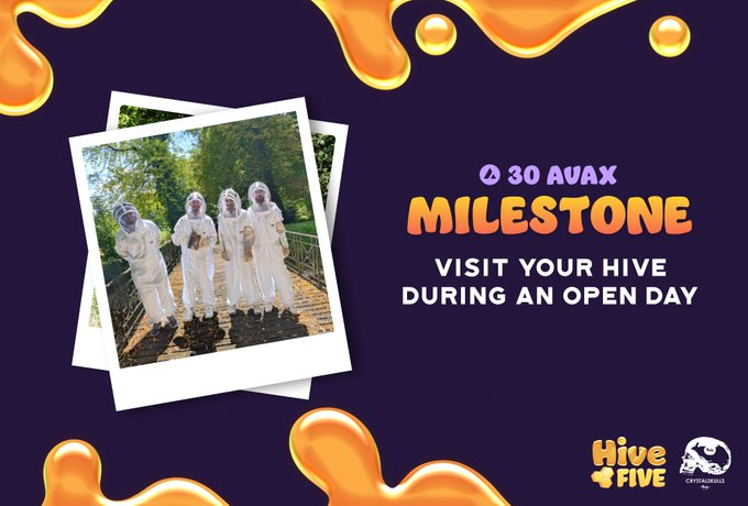 Hive Five 🍯 tweet media