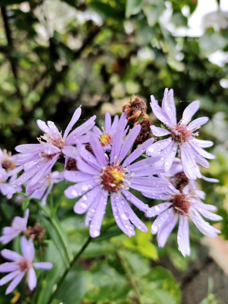 tomar_anjalii's tweet image. ♡(&amp;gt; ਊ &amp;lt;)♡