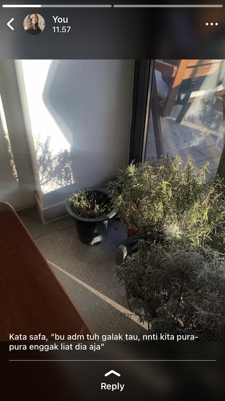 Dea Update On Twitter 220 Https T Co Fnzfsg5nel Twitter