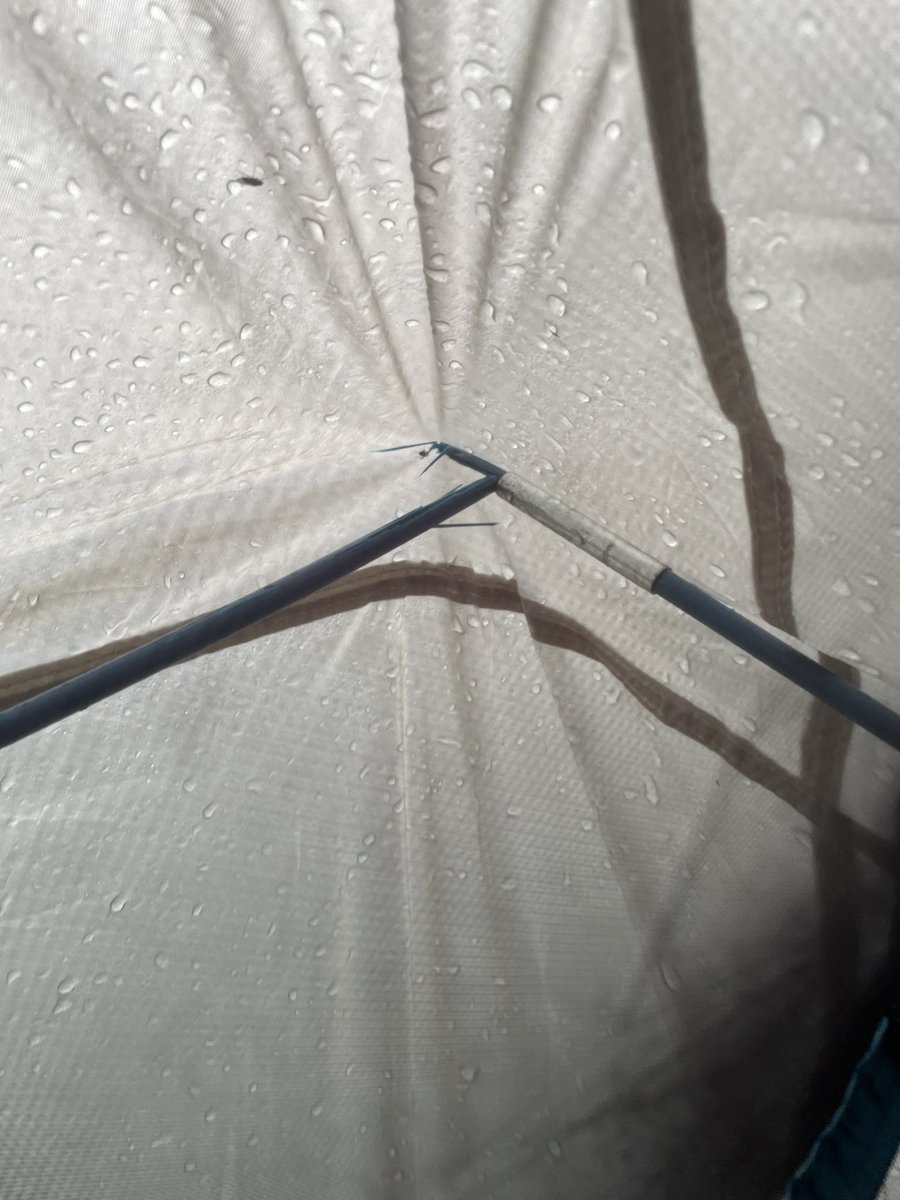 BigDadZeus's tweet photo. @KeltyUSA thanks for the bad product. Can't even handle a little midwest wind. https://t.co/3buDHqiCuL