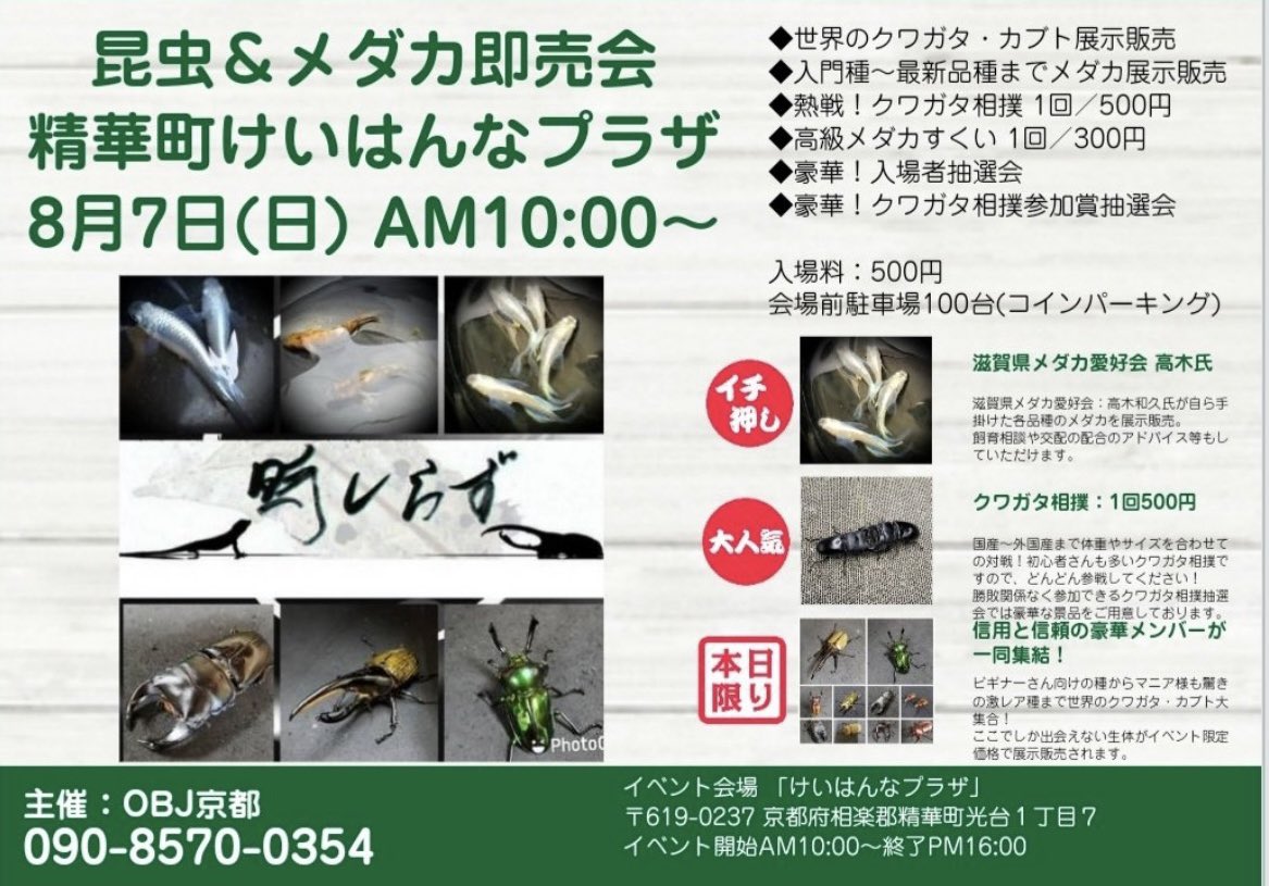 でっかい山 Zoukabuto21 Twitter
