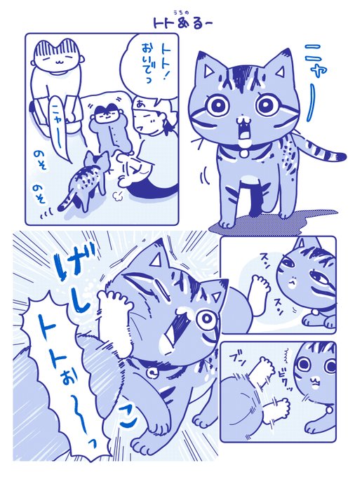 しばらく近寄らなくなりました。 