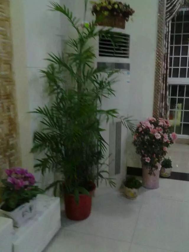 AITD奇遇美好 (@aitd89902393) on Twitter photo 