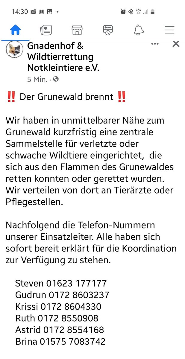 SternchenJvB's tweet photo. Retweet! https://t.co/xT6scR1tcS