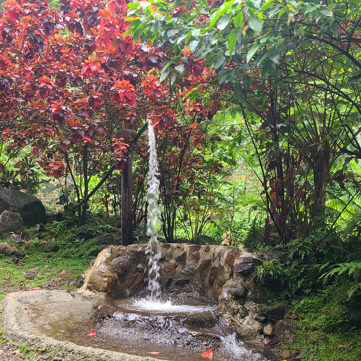 ChezDominique's tweet photo. Island living.. HOME is where my heart is & as I get older I appreciate it more and more.. It is so important that my little human knows her roots and culture.. Sweet Dominica π©π² π. #Sulphersprings Tikwen Glosho hot Sulphur springs.. natural therapy for all your aches & pains https://t.co/yovA78s88C
