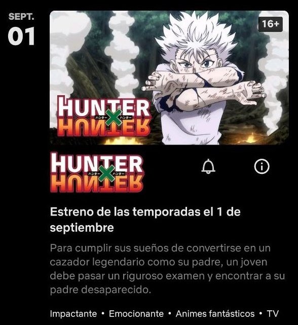 Hunter X Hunter: remake pode estar chegando à Netflix em setembro – ANMTV