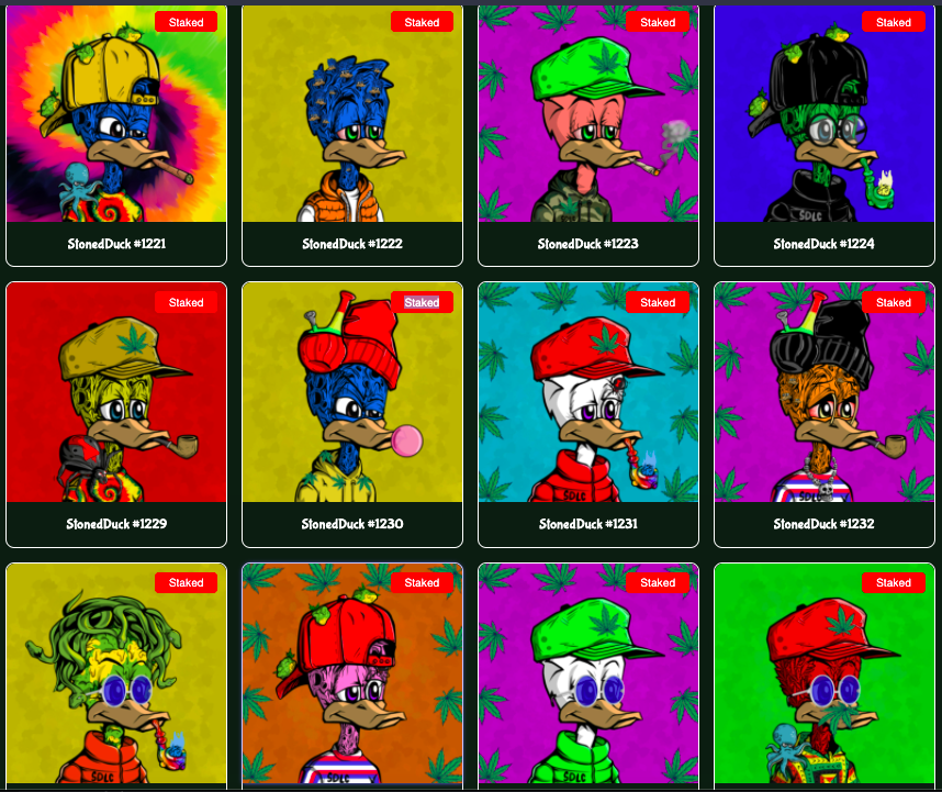 <a href="/RaritySniferNFT/">Rarity Snifer</a> If you like clean art, cool music, comics  and a friendly community that are diligently building an awesome project with a wicked team, pop into @SDLC420 we are fire!!! <a href="/Cyco_Cat/">SDLC - Cyclops Cat Club</a> <a href="/CrownSdlc/">sdlc crown gang</a> <a href="/sdlc_medujelly/">SDLC_Medusa_Jellyfish_420</a> @UnstablesTerra @Lunaverse_io <a href="/Zambezilegend/">Brent</a> <a href="/VeeDblDub/">Ynot🦴</a> All are welcome!