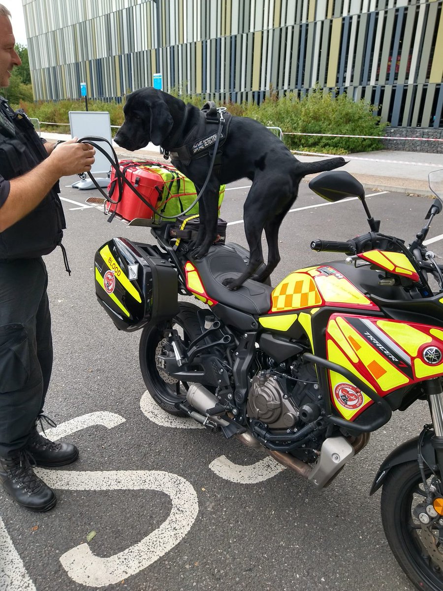 WSBB rider Caroline (WSBB277) bumped into Mickey and his handler Paul at Warwick University where they were on duty for the Commonwealth Games.
Looks like Mickey wants to join us and we would be barking not to lead him though his training 🤣🤣🤣
#westmidlandspolice