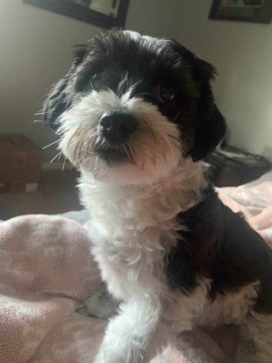 Thank you alll for the birthday wishes, we had so many. We love you all!!!! <a href="/Beverly04092939/">Beverly Edwards 🐕🤶</a>