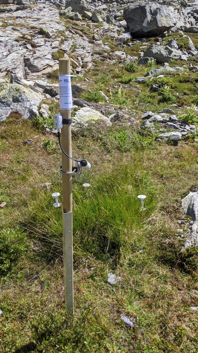 KathrinNaegeli's tweet photo. finally some fieldwork again - thermal infrared radiometer installations on and in the vicinity of Murtèl rockglacier with great colleagues @amschwand and Nils Rietze 🏔️🌡️ #fieldwork #mountains #TIRLab @uzh_geo https://t.co/0D8ILCgqdK