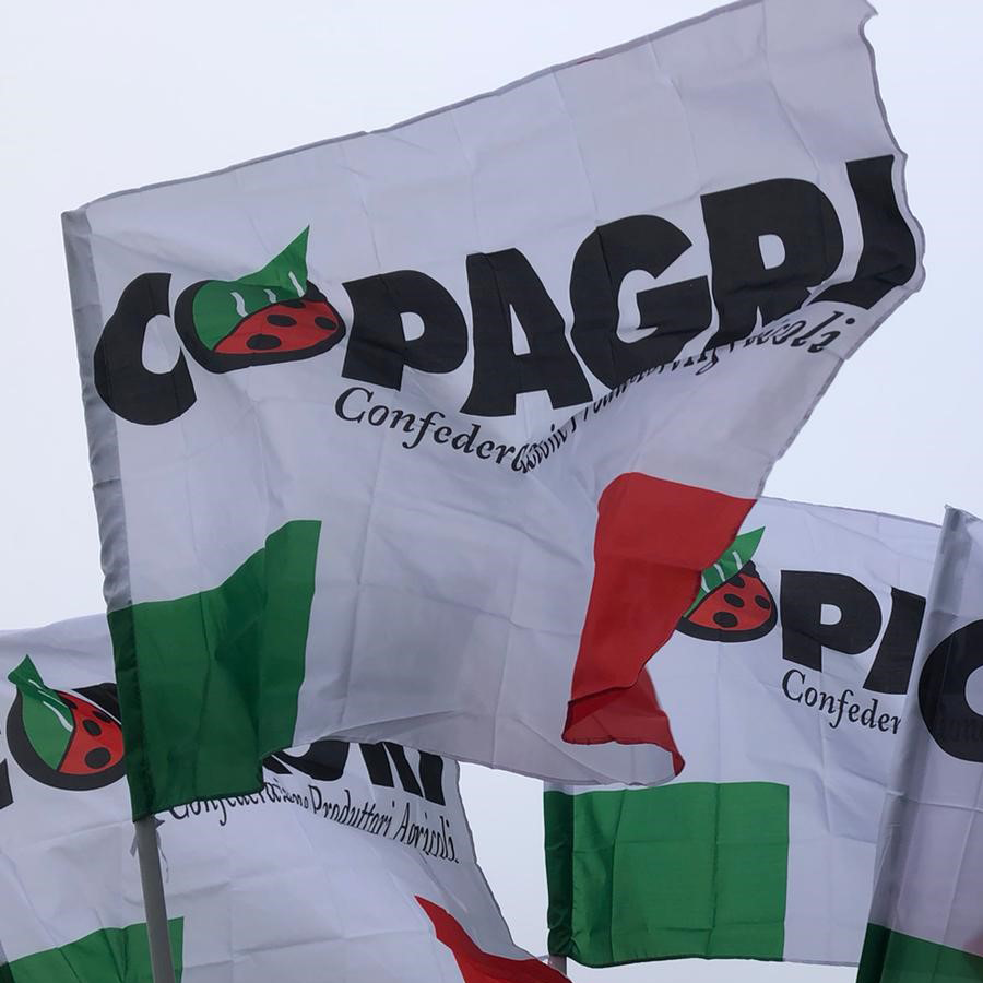 Copagri's tweet photo. #Zootecnia: sul @sole24ore di oggi ampio spazio alla protesta degli allevatori #Copagri sulla questione delle #quotelatte. #Cavaliere, multe da rifare; mentre le stalle sono allo stremo, anche per la #siccità, l'Erario risponde con una raffica di #pignoramenti e #ipoteche. https://t.co/EscCVvvaiq