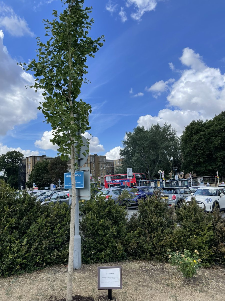 Today, with huge thanks to Ealing Hospital, we planted a tree - the UK’s only memorial to NHS staff who have died by suicide. May they rest in peace, and may we redouble our efforts to stop it happening ever in the future. 3/3