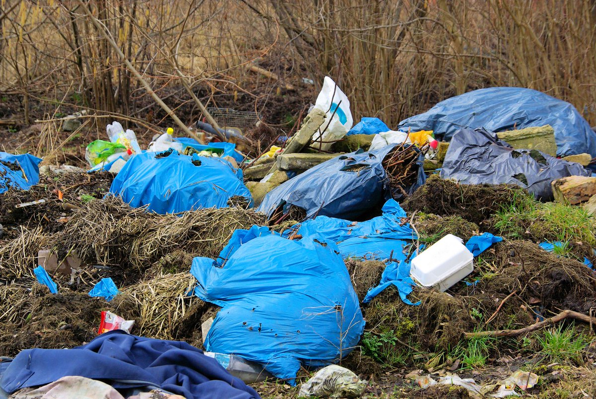 SPS_Property's tweet photo. Did you know as a property owner or landlord, you have a responsibility to ensure your property and the external area are not having a negative impact on the surrounding environment?

https://t.co/K567h8x2HN https://t.co/xV99pagIcZ