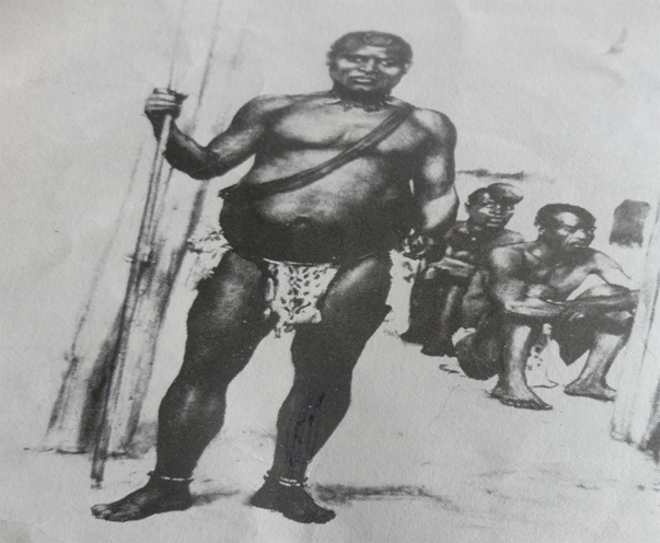 Zimbabwe Archives tweet media