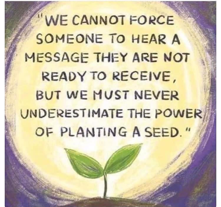DarbysFlorist's tweet photo. Sprinkle seeds 🌱 of hope and positivity daily…🌻 https://t.co/GpA5iqy6Gm