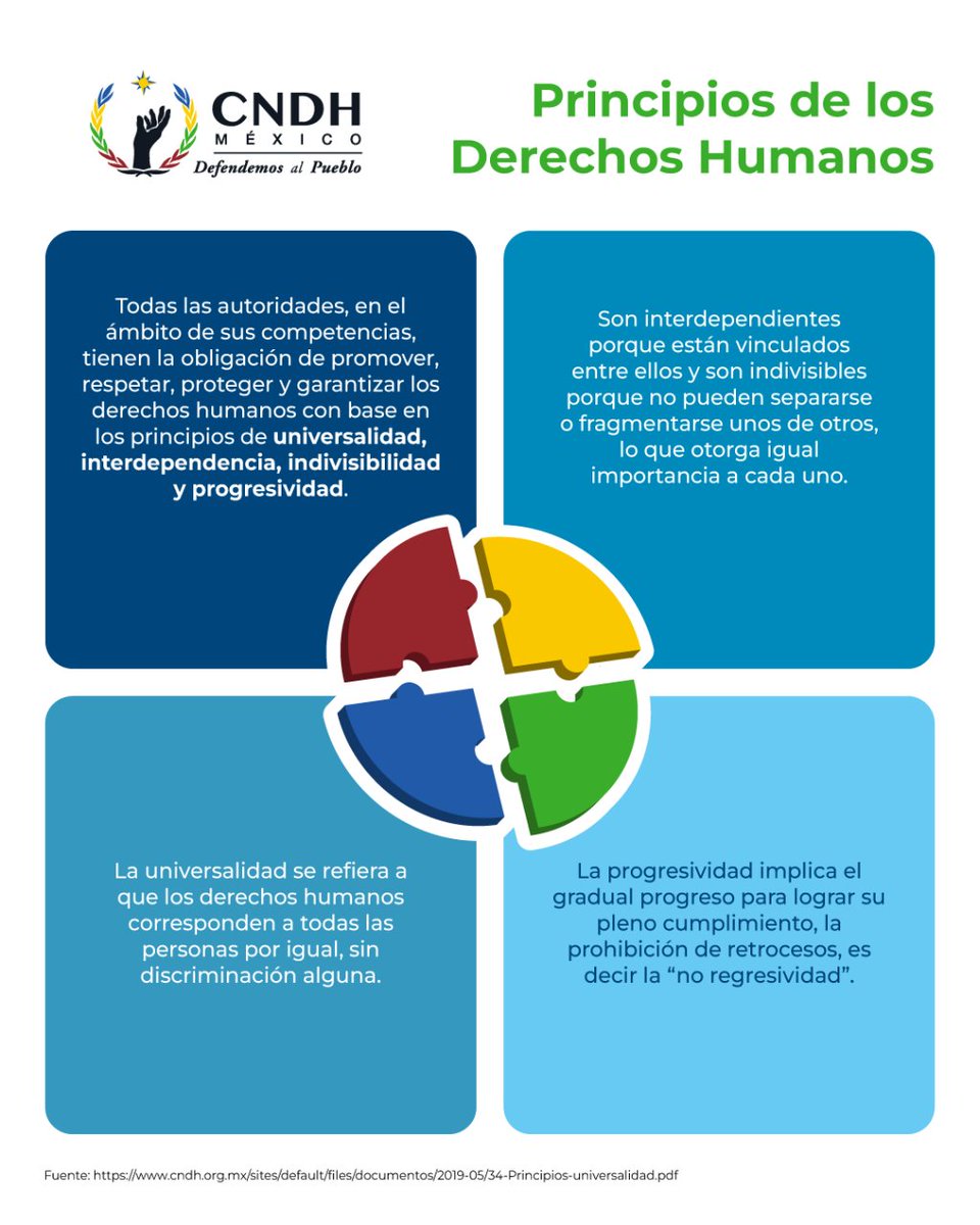 CNDH's tweet photo. ¿Sabías que tus #DerechosHumanos cuentan con cuatro principios fundamentales? 

Conócelos 👇

#DefendemosAlPueblo https://t.co/pzbg22EdQT