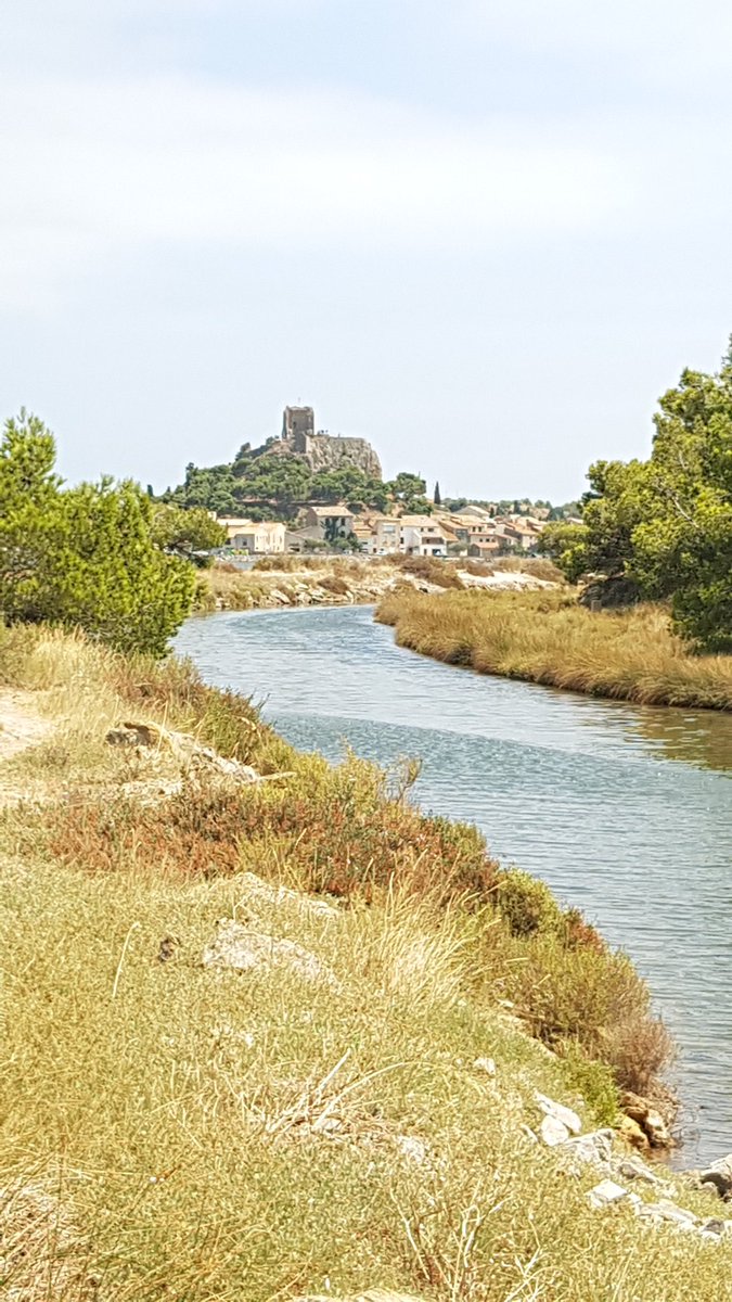 faroukaitouaret's tweet photo. #rando #gruissanvillage 🚴♂️🚴♂️🚴♂️🚴♂️
#perdir2018
#perdir https://t.co/AP6ien9Zg4