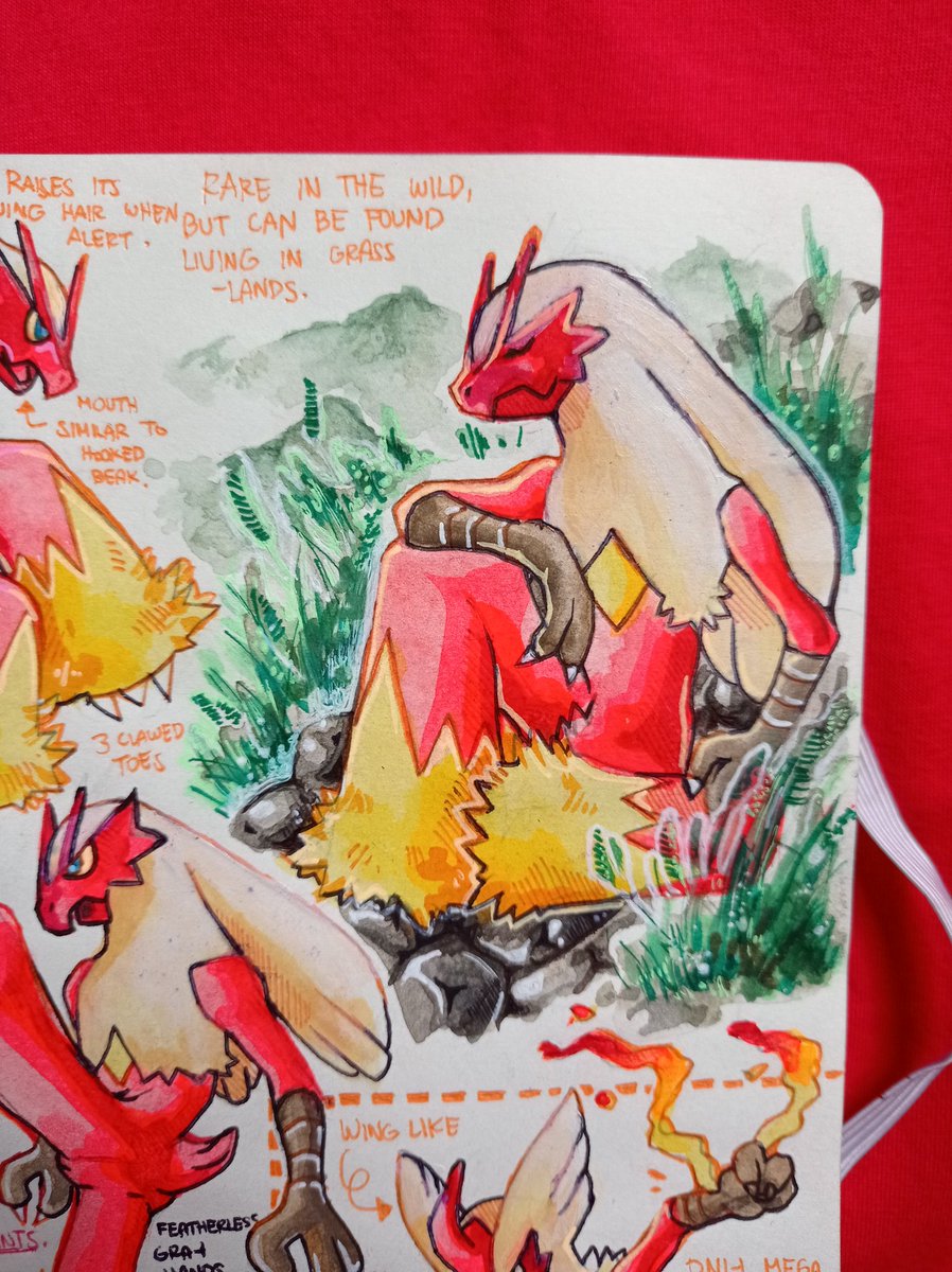 burr_gundy's tweet photo. Blaziken🐓🔥
-When it meets a powerful enemy, fire burns around its arms and legs. Its powerful legs are strong enough to leap over buildings.
#pokemon #journal #sketchbook #visualstudy #conceptart #sketch #art #blaziken #hoenn https://t.co/L4WyiLFdaZ