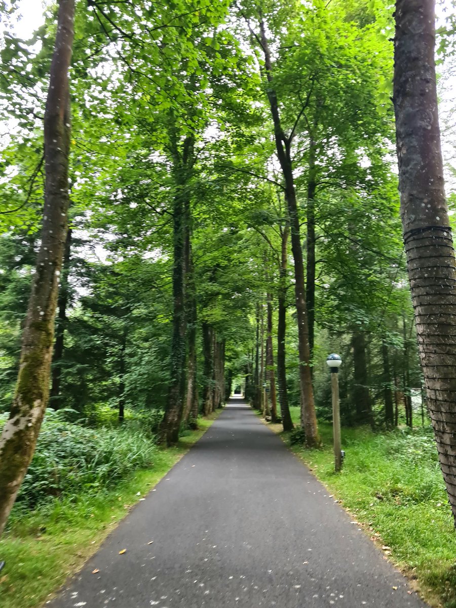 xMaggieMaex's tweet photo. @CenterParcsUK #MyCP https://t.co/VieoX30Pg2