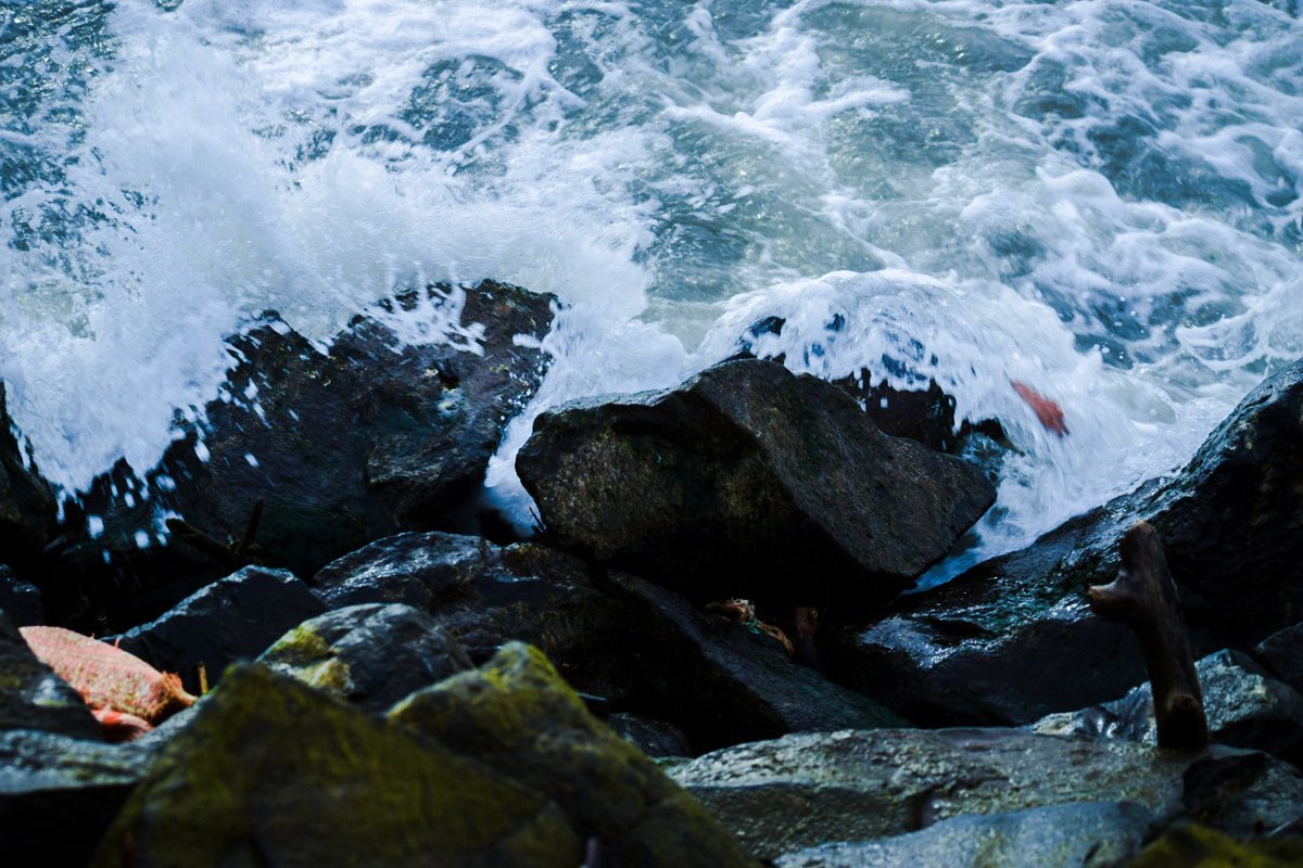 dhruvnaique's tweet photo. 🌊 

#PhotoOfTheDay #Waves #goa https://t.co/tAxp3EIbad
