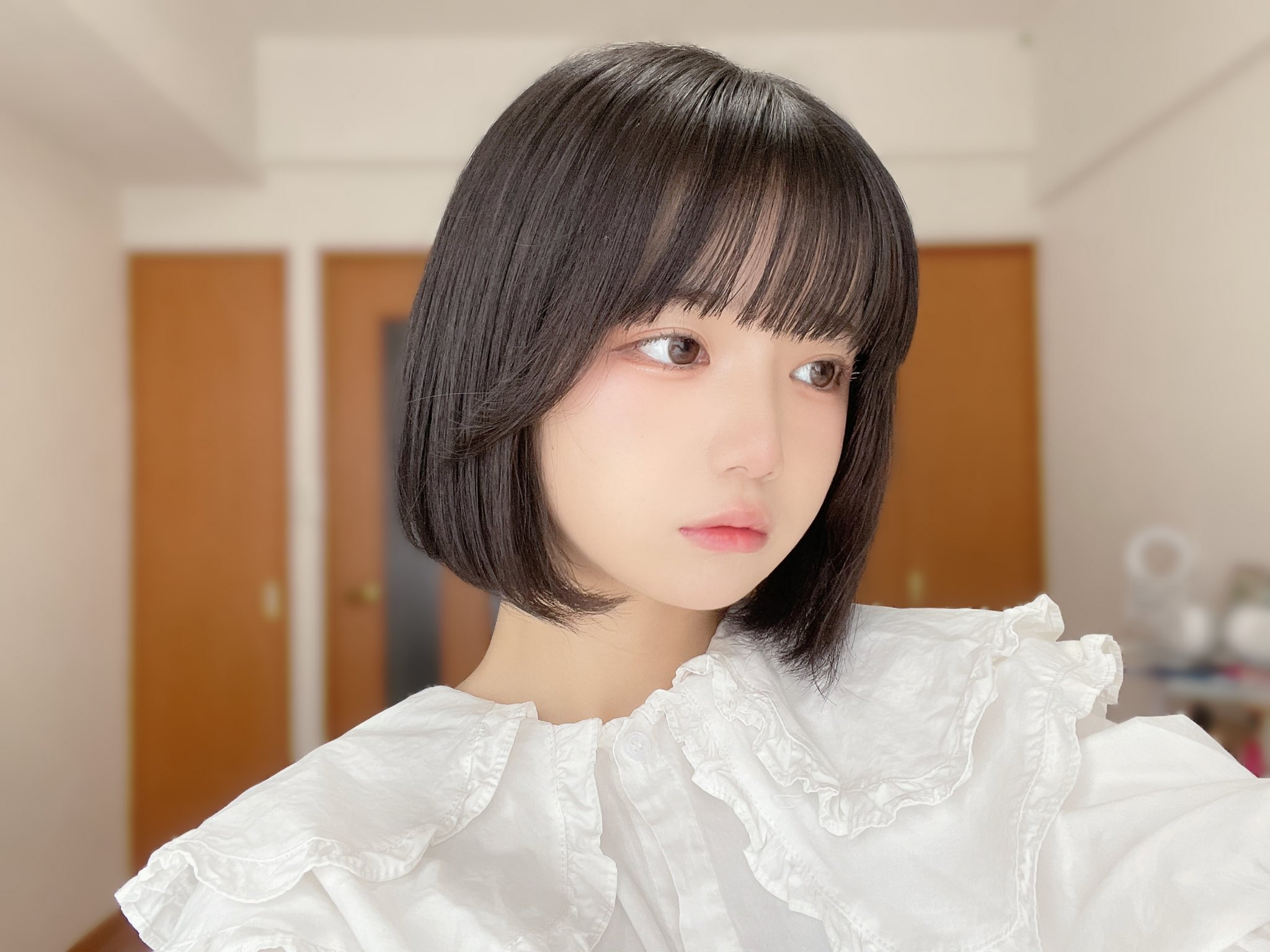 iLiFE! あいらいふ i-COL あいこる あいす コメあり サあり あいこる、iLifeあいす)