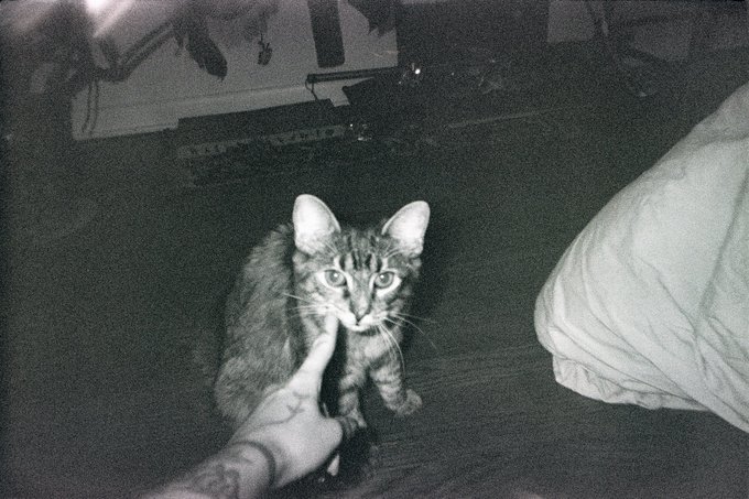 Hey it&rsquo;s Francis https://t.co/wCiqNiI5VL