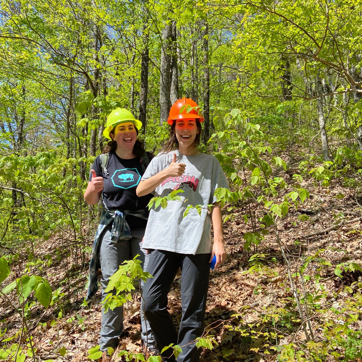 May 2022 field work at Coweeta Hydrologic Laboratory with our watershed ecology lab group 🌿🍃 Awesome experience learning how to set up a sapflux ecohydrology experiment!