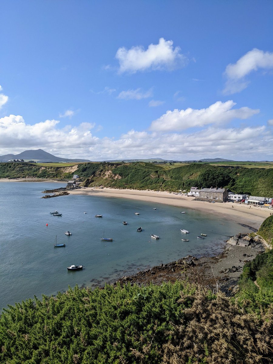 Another beautiful day for collecting #seagrass seeds in Porthdinllaen! Day 2 for @wwf_uk and what a fantastic start - how lucky did we get with the weather!? ☀️ #plantinghope #seedsofhope