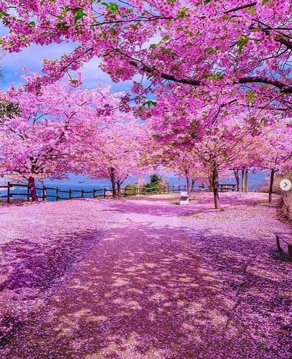 Dios núnca nos desampara: ni en las peores pruebas, ni en las peores crisis.🙏📖
Dios es Amor ❤