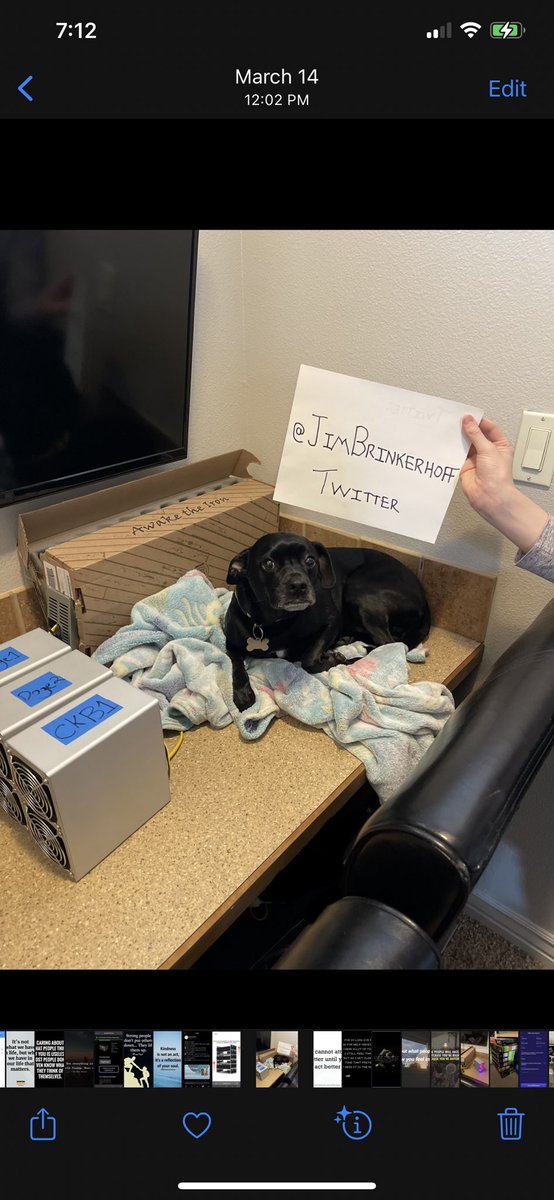 jimbrinkerhoff's tweet image. Humble beginnings. How it started vs how it’s going. @goldshellminer @getmntd_ @helium @dogecoin @LTC @CKB