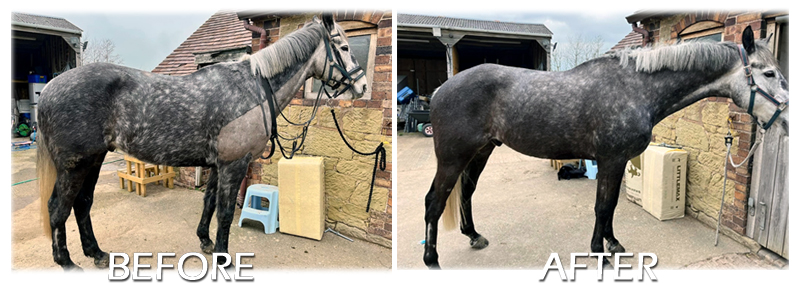 SMART Saddles August news including; special offers, new flexible payment options and new collaboration news: bit.ly/3Q385BS